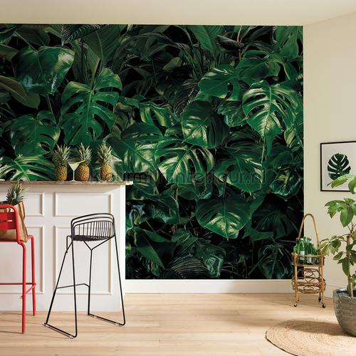 tropical wall papier peint p333-vd4 Pure Komar