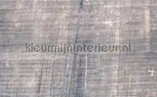 Concrete fototapeten Komar weltkarten 