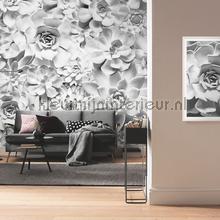 Shades black and white fototapeten Komar PiP studio wallpaper 