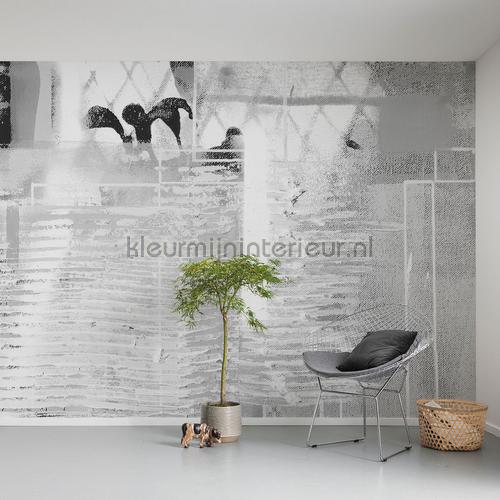 rhombus hiding papier murales prh-0800 Art - Ambiance Komar