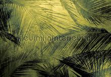 palms papier murales Coordonne Random Papers 2 6800403