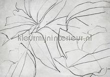 abstract flora concrete fototapeten Coordonne Random Papers 2 6800406