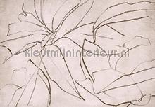 abstract flora rose fotomurali Coordonne Random Papers 2 6800407