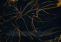 abstract flora black papier murales 6800409 Random Papers 2 Coordonne