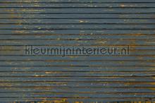 Ribbons fototapeten Coordonne weltkarten 