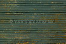 Ribbons fototapeten 6800614 holz Coordonne