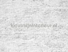 Bricks fototapeten Coordonne weltkarten 