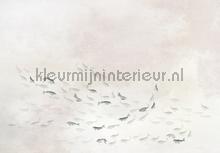 koi light papier murales 6800723 Moderne - Rsum Coordonne