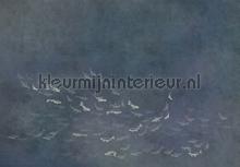 koi dark fotobehang 6800724 Marine-Onderwaterwereld Coordonne