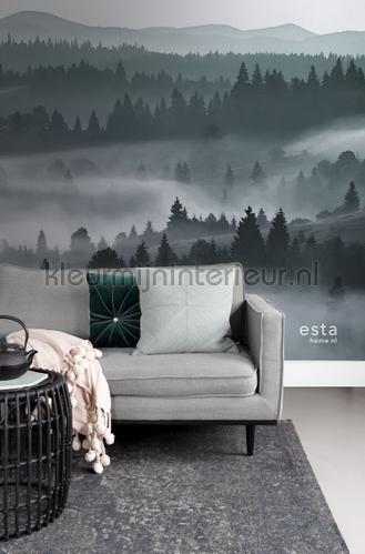 Mistige bergen photomural 152-158910 Forests Esta home