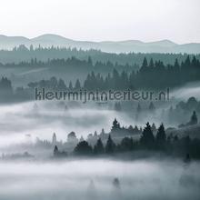 Mistige bergen fotobehang Esta home Bossen 