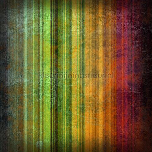 Spectrum Striped Curtain fototapet r11091 Rebel Walls