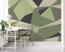 102054 fotomurais BN Wallcoverings telhas 
