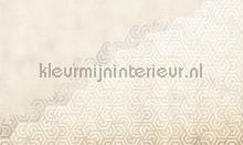 hexagon fotomurales Noordwand Vanilla Lime 014188