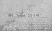hexagon fotomurales Noordwand Vanilla Lime 014190
