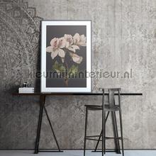 outland fotomurales Noordwand Vanilla Lime 014196