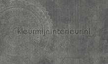 outland fotomurales Noordwand Vanilla Lime 014198