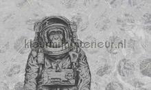 Space monkey fotobehang Noordwand Modern Abstract 