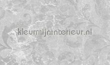 famous fotomurales Noordwand Vanilla Lime 014238