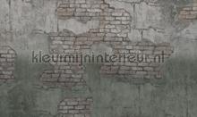 broken fotomurales Noordwand Vanilla Lime 014244