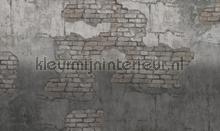 broken fotomurales Noordwand Vanilla Lime 014246
