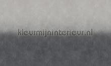 chalk ombre fotomurales Noordwand Vanilla Lime 014268