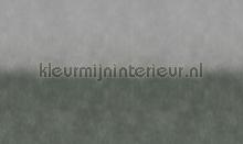 chalk ombre fotomurales Noordwand Vanilla Lime 014270