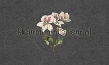 daydreams fotomurales Noordwand Vanilla Lime 014276