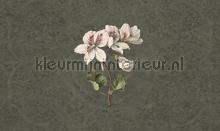 daydreams fotomurales Noordwand Vanilla Lime 014278