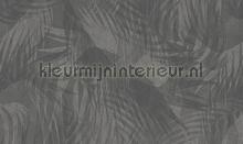 tropical fotomurales Noordwand Vanilla Lime 014286
