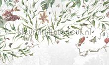biodiversity fotomurales Noordwand Vanilla Lime 014300