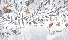 biodiversity fotomurales Noordwand Vanilla Lime 014302