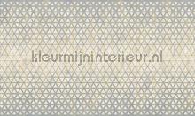 geometric fotomurales Noordwand Vanilla Lime 014310