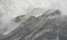 mountains fotomurales Noordwand Vanilla Lime 014316