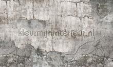 Concrete wall fotobehang Noordwand Modern Abstract 