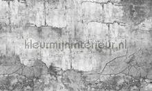 Concrete wall fotobehang Noordwand Modern Abstract 