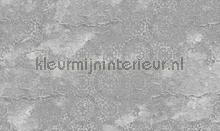 casablanca fotomurales Noordwand Vanilla Lime 014366