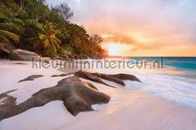 Nature fotobehang XXL4-048 Zon - Zee - Strand Komar