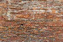Bricklane fotobehang Komar Vlies collectie XXL4-025
