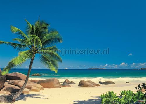 seychellen fotobehang 4-006 Zon - Zee - Strand Komar