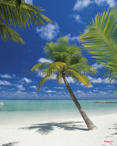 ari atoll fototapeten 4-883 Sonne - Meer - Strand Komar