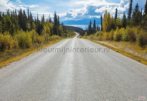 atlin road fotobehang 8-532 Interieurvoorbeelden fotobehang Komar