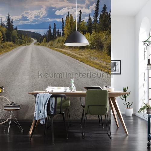 atlin road fotobehang 8-532 Interieurvoorbeelden fotobehang Komar