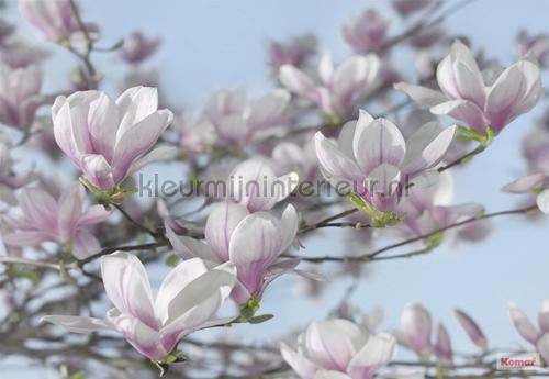 magnolia fotobehang 8-738 Vol 15 Komar