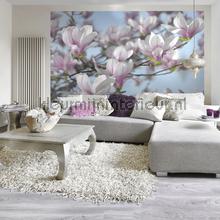 magnolia fototapeten Komar Vol 15 8-738
