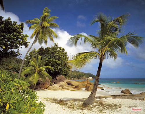 praslin fotobehang 8-885 Zon - Zee - Strand Komar