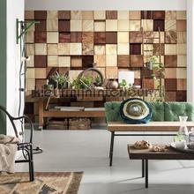 photomural wood