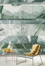 Alocasia shade fottobehaang Khroma _intrieur 