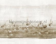 waterside sand fotobehang dgium1021-1022-1023 dieren Khroma