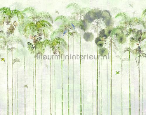 jungle greenery papier murales dgwil1011-1012-1013 Wall Design Khroma